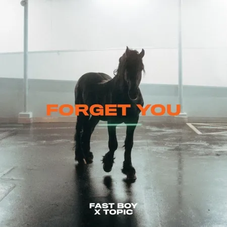 FAST BOY & Topic Forget You